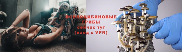 кокс Абдулино